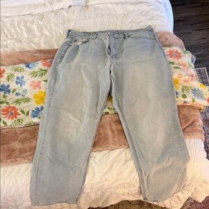 American Eagle Outfitters Light Blue Straight Leg Jeans
